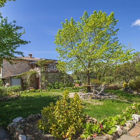 Ca'Novae - Tuscany Farmhouse モンティエーリ エクステリア 写真