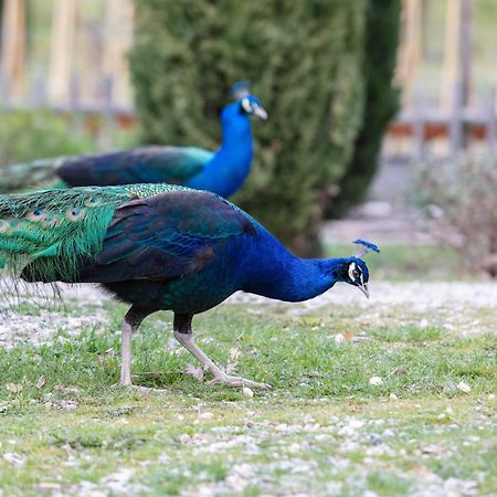 Ca'Novae - Tuscany Farmhouse モンティエーリ エクステリア 写真